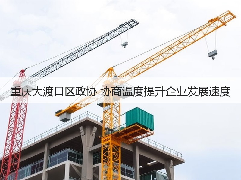 重庆大渡口区政协 协商温度提升企业发展速度 - 诺云XCCX热点资讯网