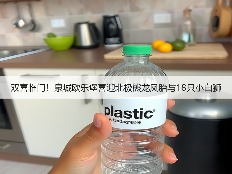双喜临门！泉城欧乐堡喜迎北极熊龙凤胎与18只小白狮 - 诺云XCCX热点资讯网